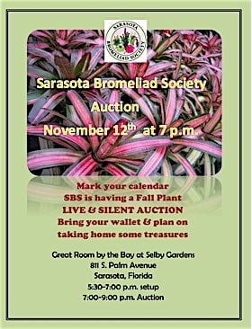 Promotional Flyer for 2018 SBS Auction